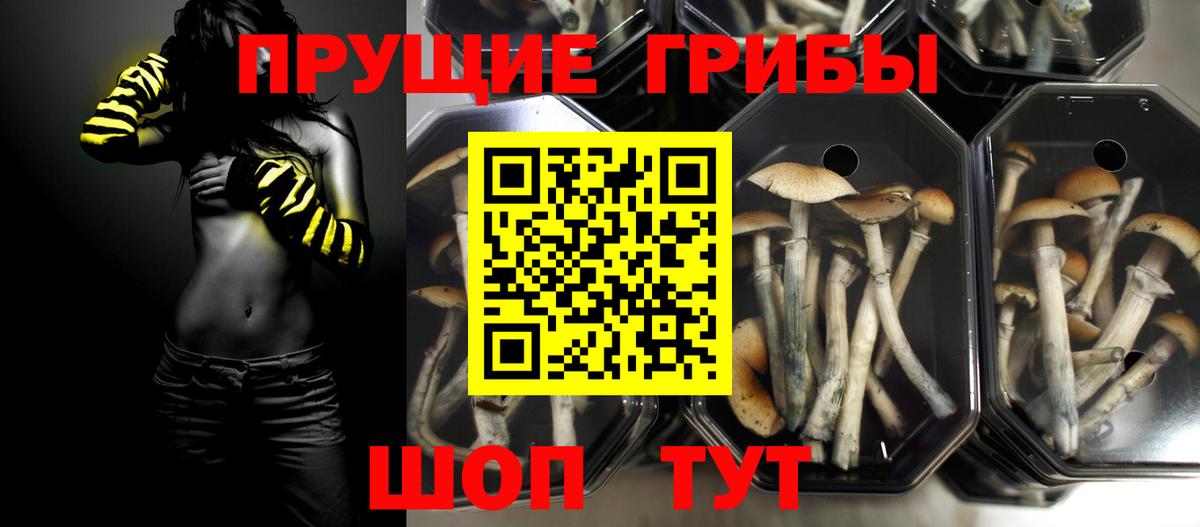 Галлюциногенные грибы мицелий Рыбинск