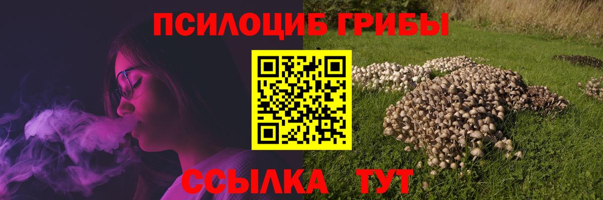 Рыбинск  Псилоцибиновые грибы прущие грибы  Вход с VPN 